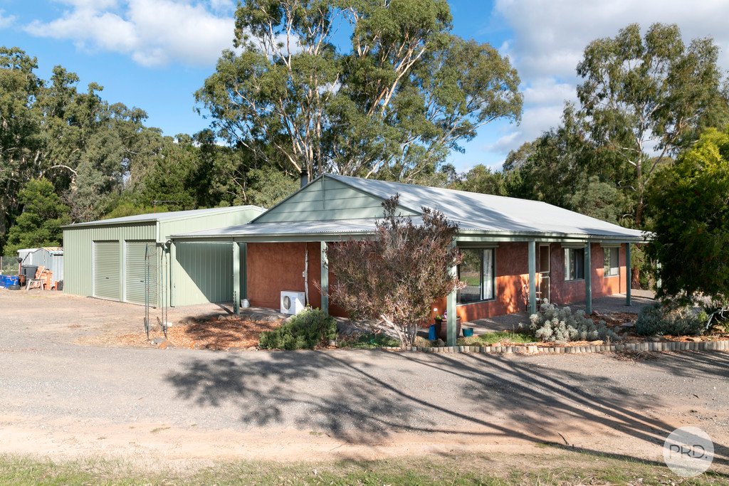 7 Hamilton Street LEXTON 3