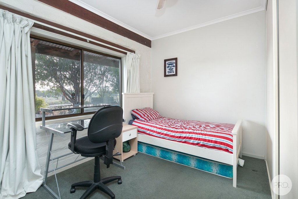 7 Hamilton Street LEXTON 13