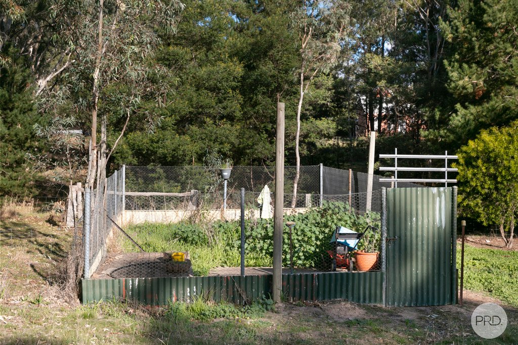 7 Hamilton Street LEXTON 15