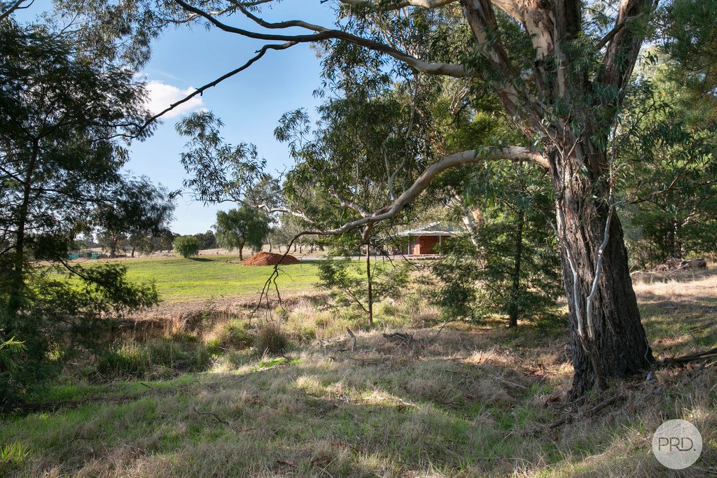 7 Hamilton Street LEXTON 16