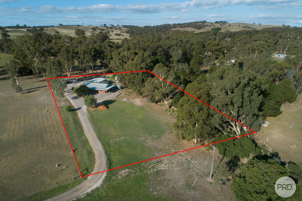 7 Hamilton Street LEXTON 19