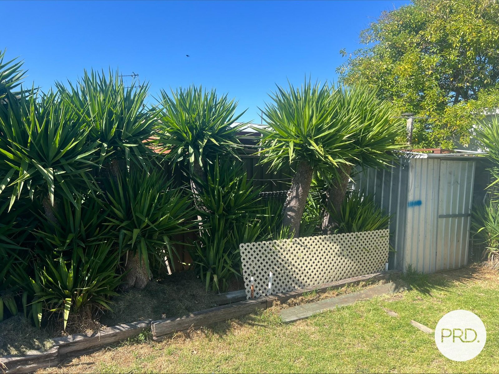 7 Hassett Street SHEPPARTON 5