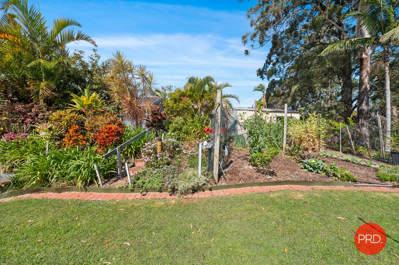 7 Haviland Street WOOLGOOLGA 18