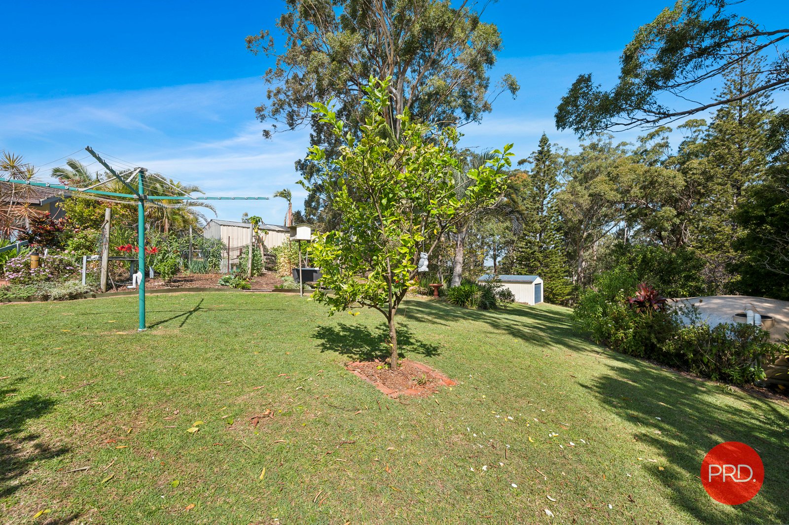 7 Haviland Street WOOLGOOLGA 19
