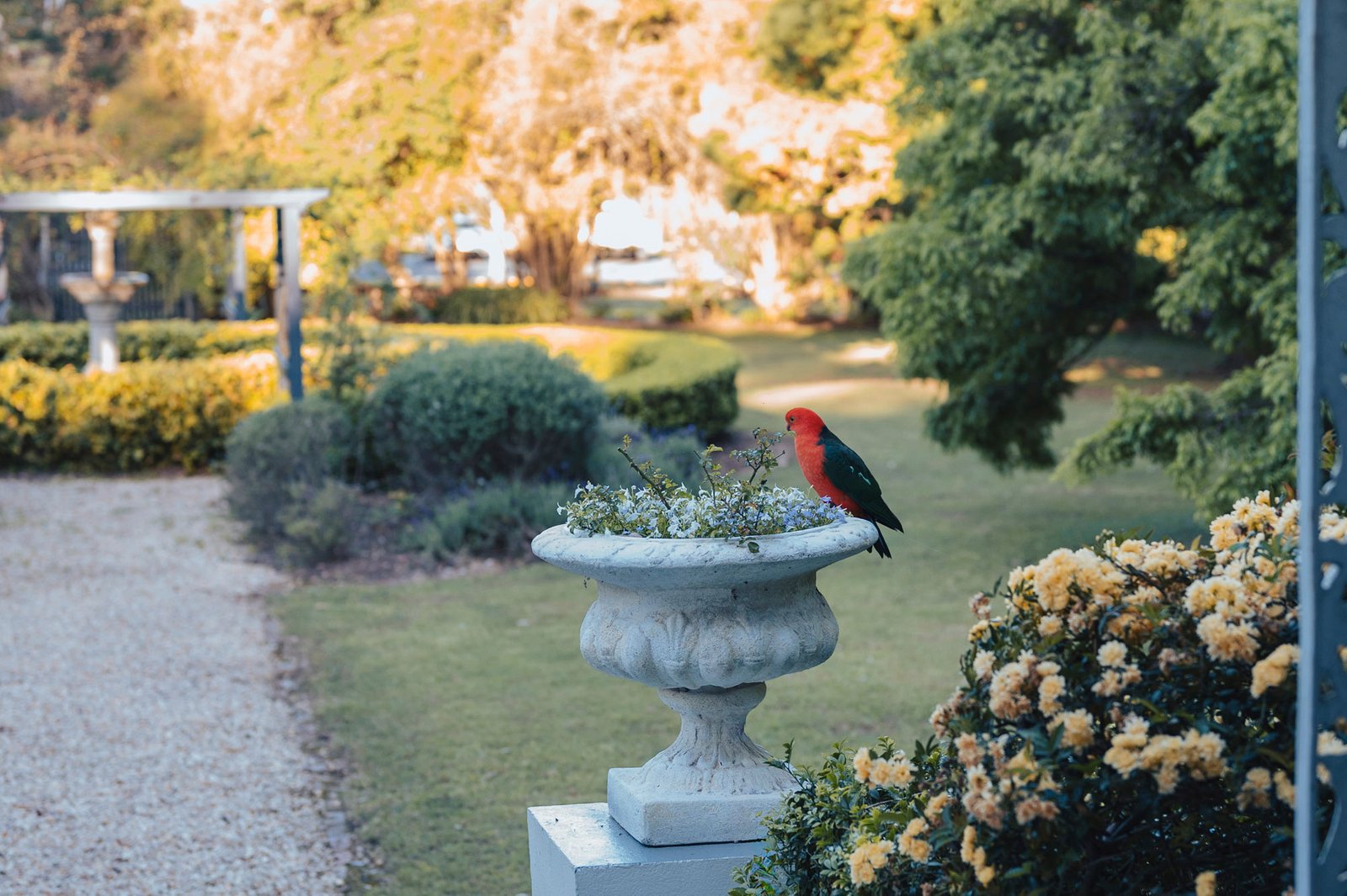 7 High Street MORPETH 29