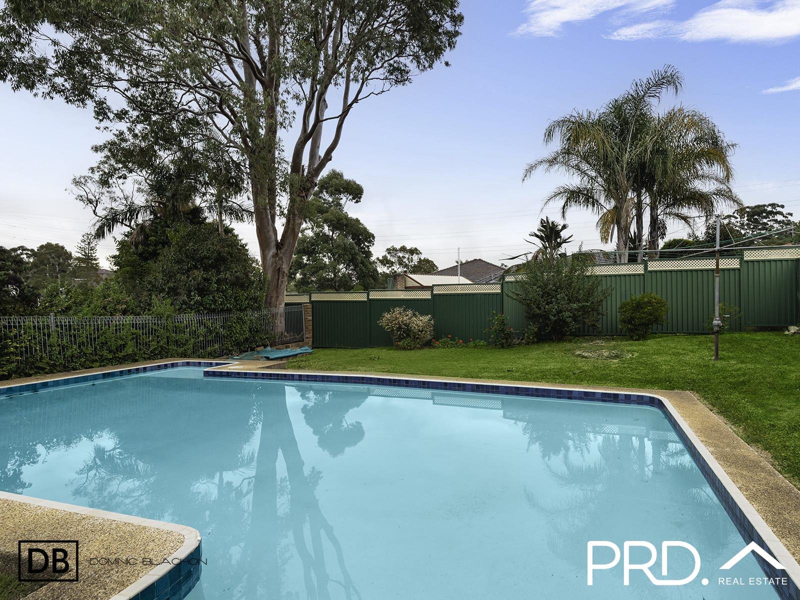 7 Hilltop Avenue PADSTOW HEIGHTS 7