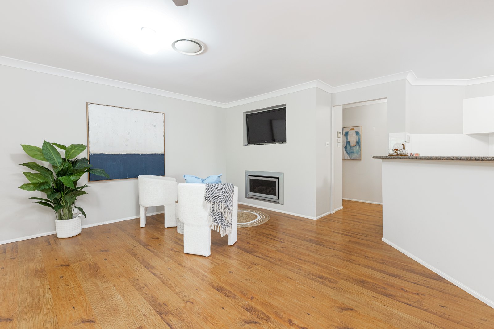 7 Holmes Street ASHTONFIELD 16