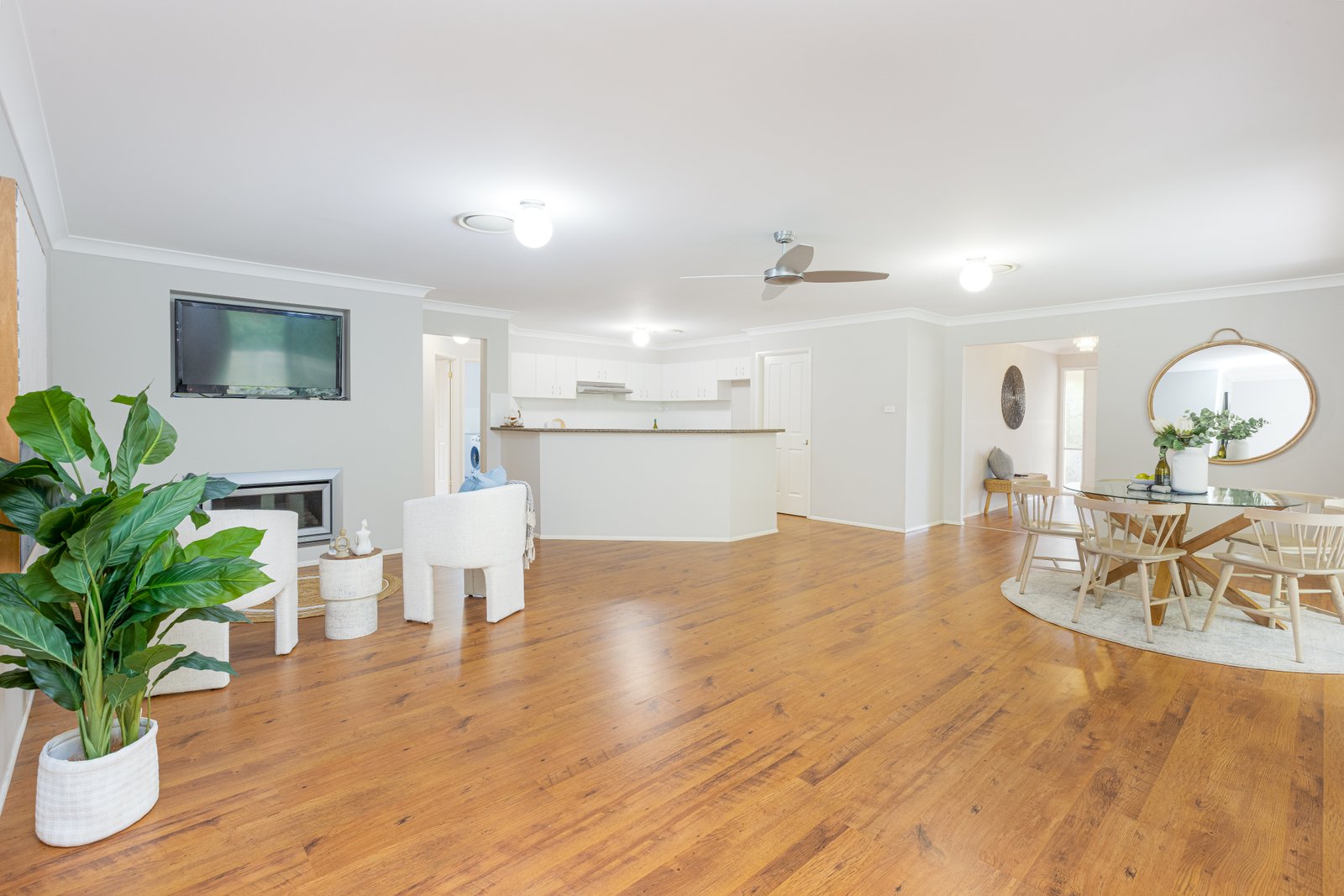 7 Holmes Street ASHTONFIELD 19