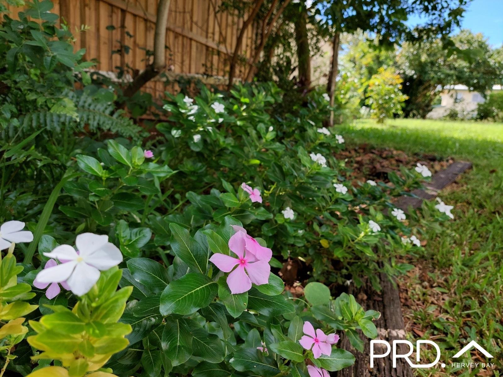 7 Honiton Street TORQUAY 35