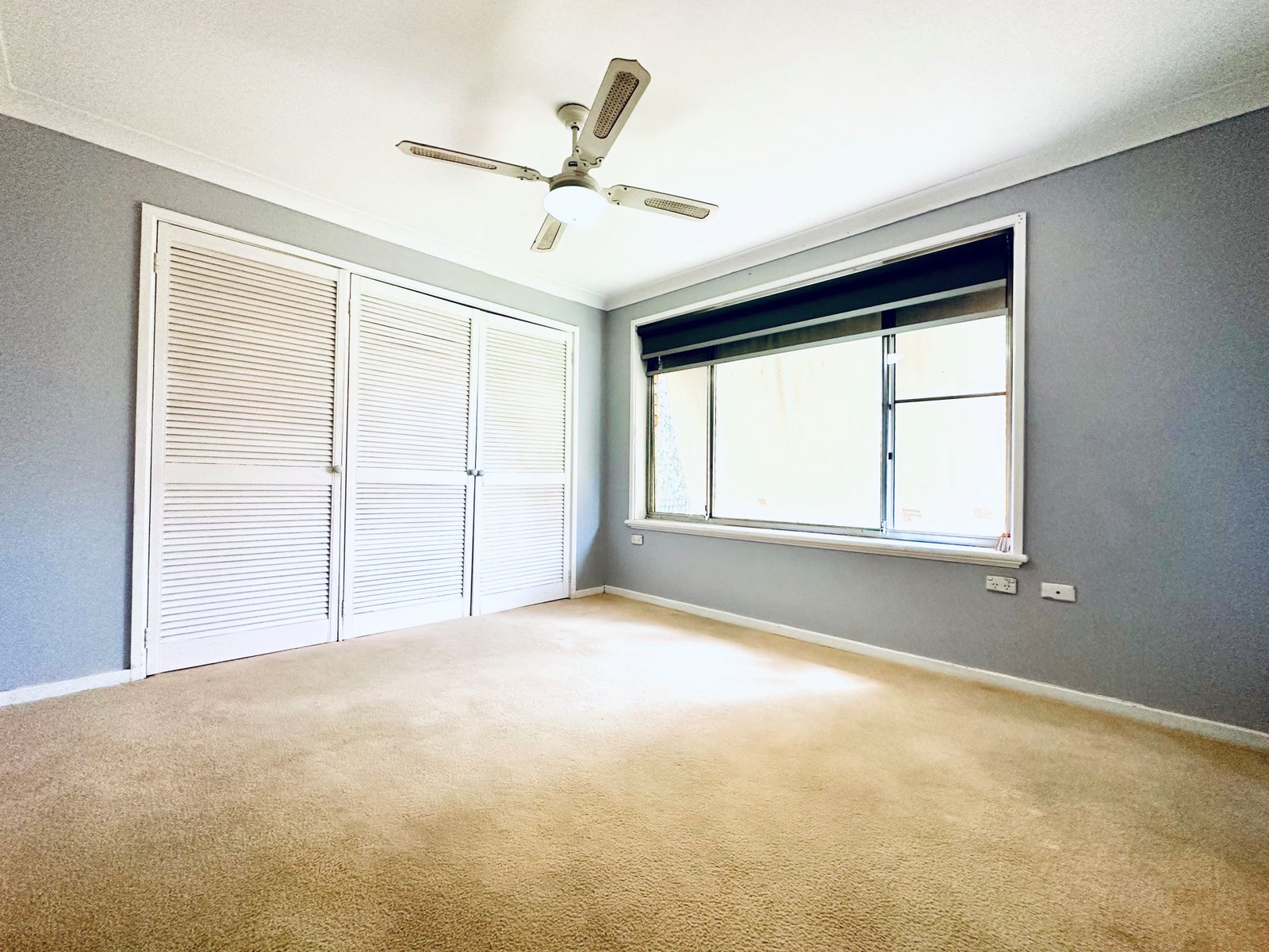 7 John Street TAMWORTH 5