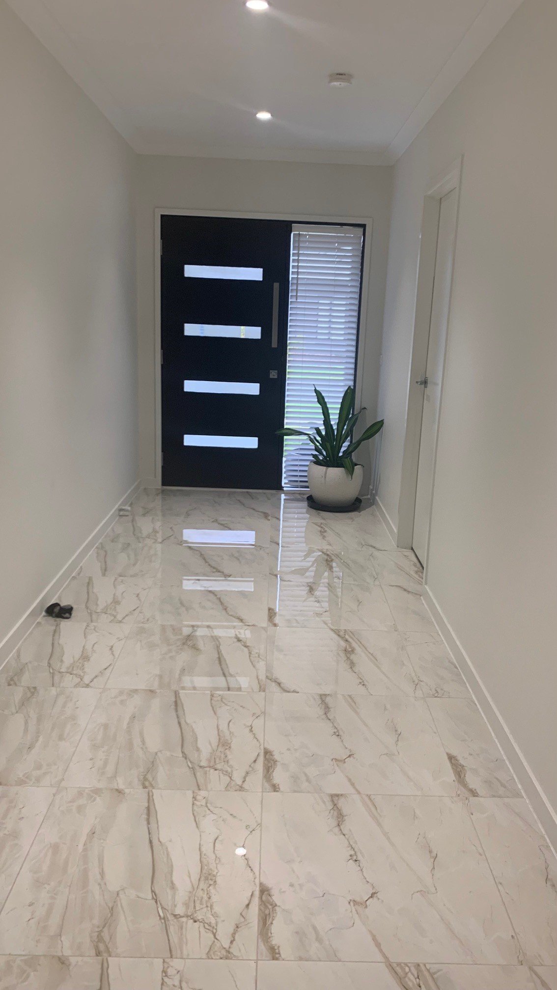 Gallery: 7 Kiwi Crescent