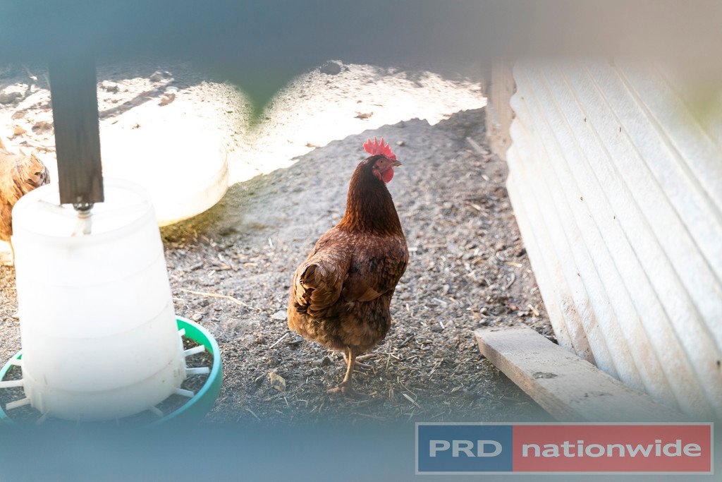 7 Lawrence Street ALFREDTON 13