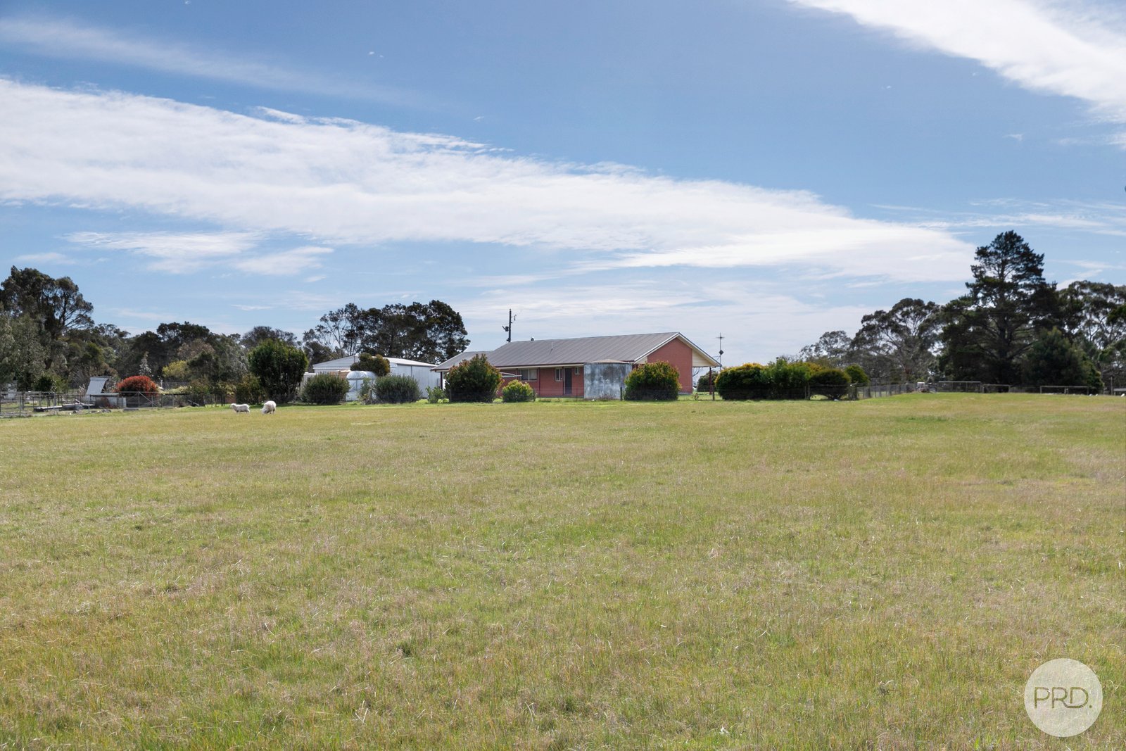 7 Leigh Court DEREEL 15