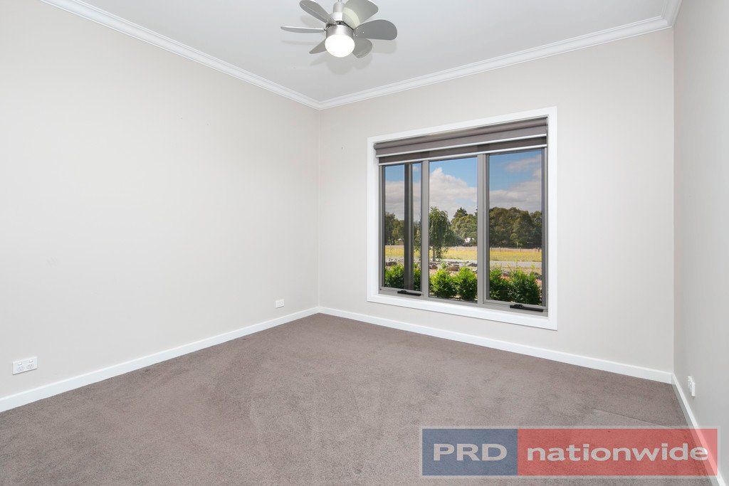 7 Les Draffins Road BO PEEP 8