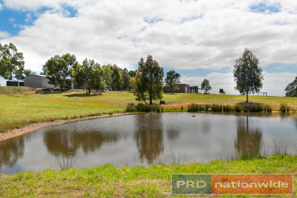 7 Les Draffins Road BO PEEP 11