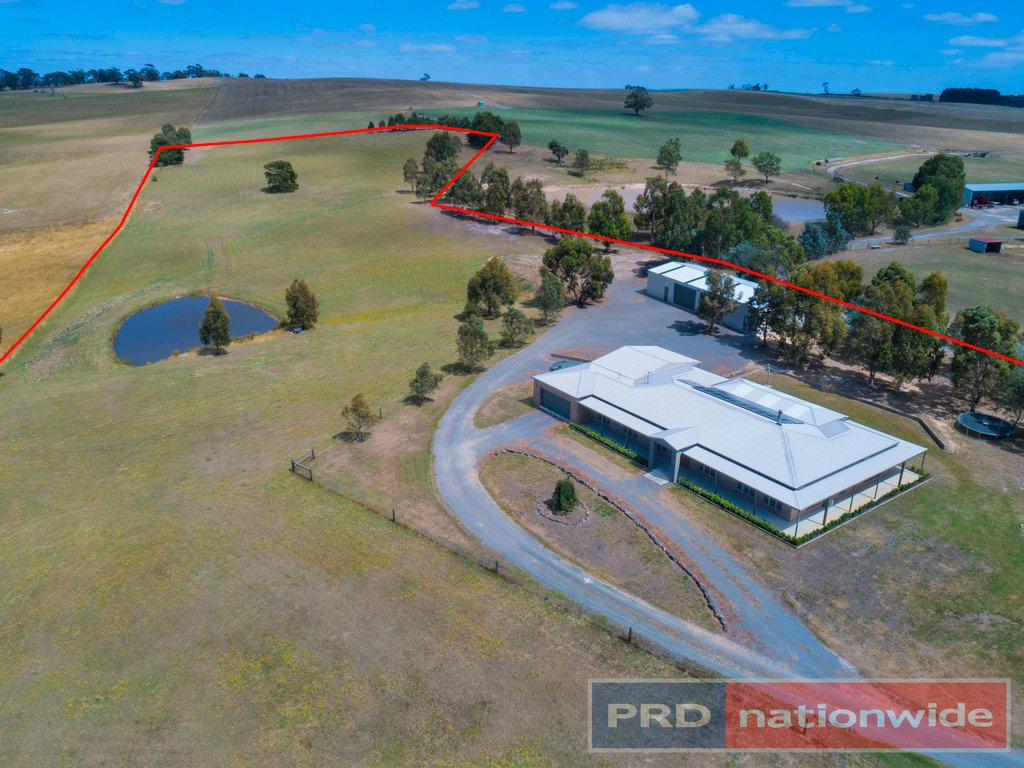 7 Les Draffins Road BO PEEP 16