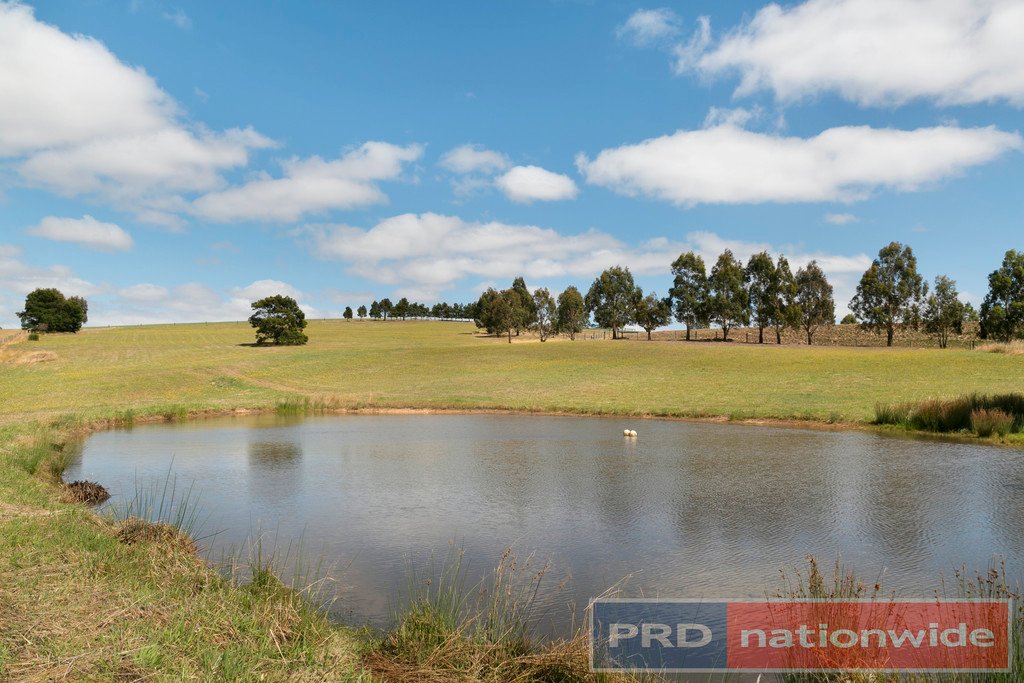 7 Les Draffins Road BO PEEP 17