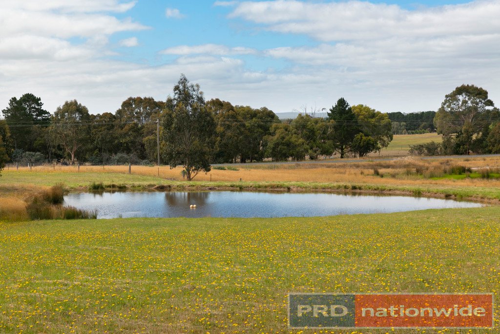 7 Les Draffins Road BO PEEP 18