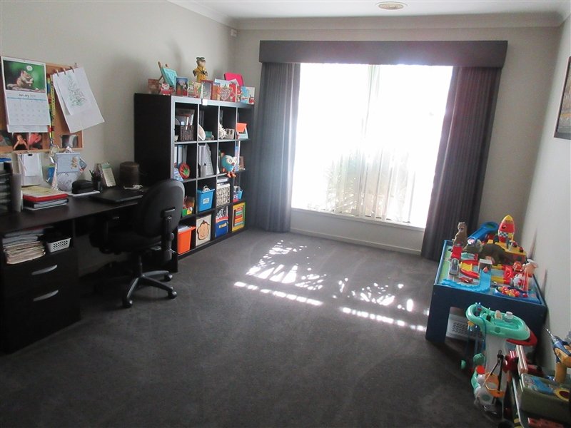 7 Lorikeet Aveue  EPSOM 4