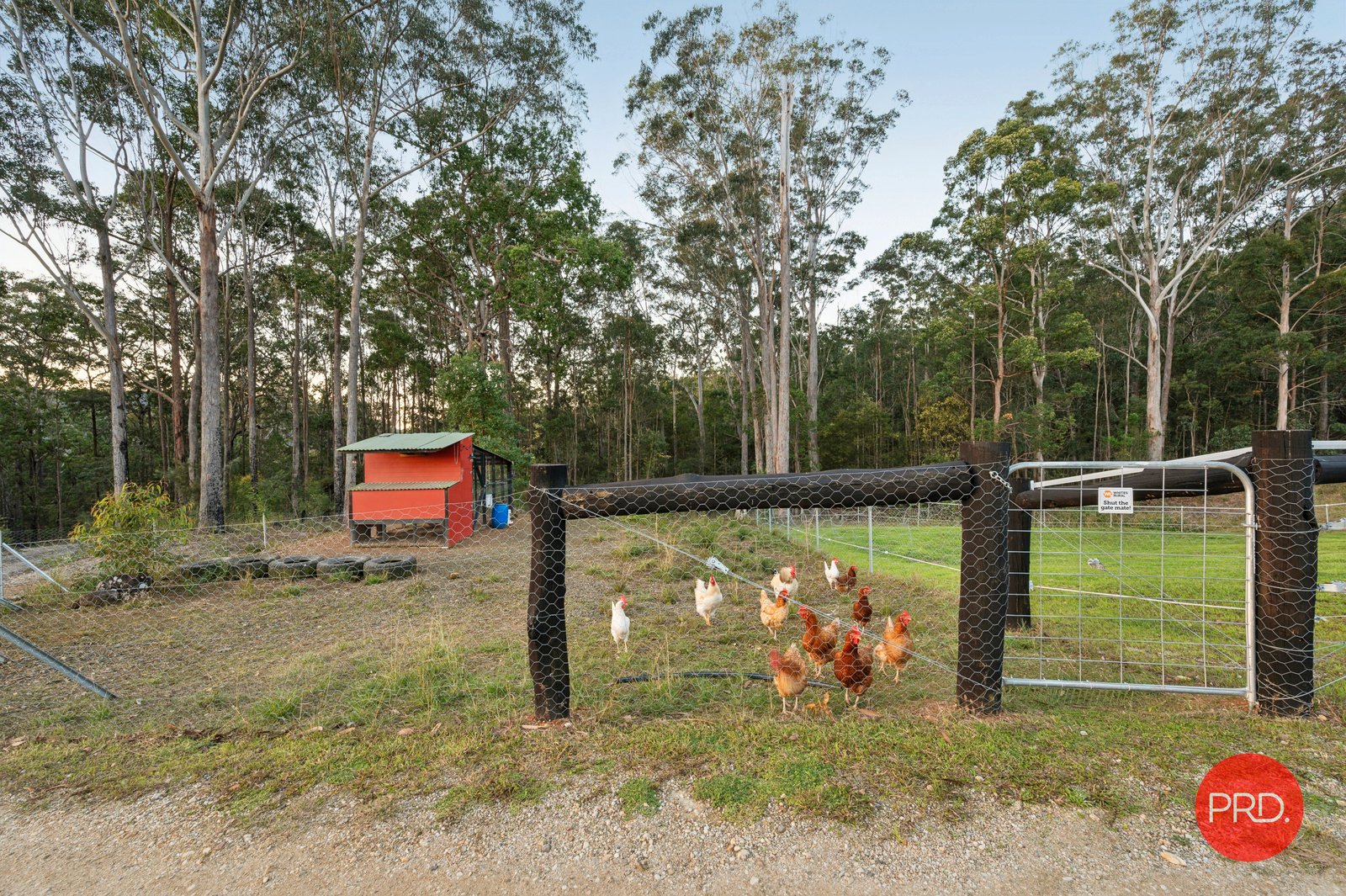 7 Lorikeet Place GLENREAGH 31