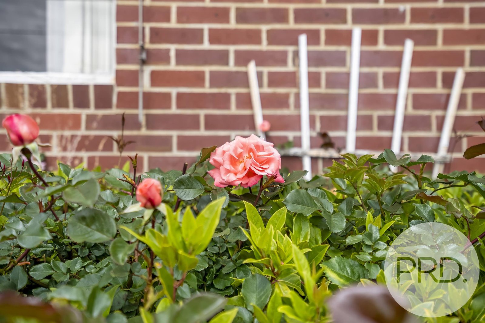 7 Malabar Road CLAREMONT 16