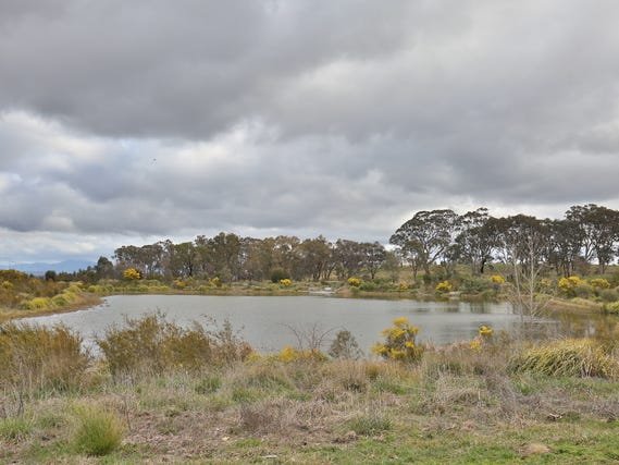 7 Maza Place BONNER 9