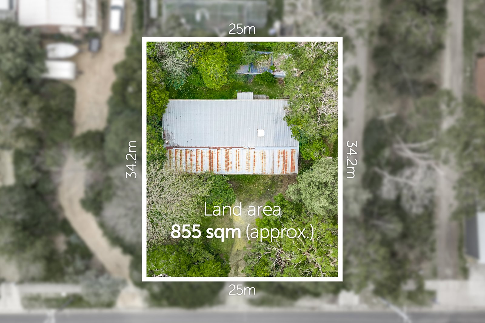 Gallery: 7 McMillan Street