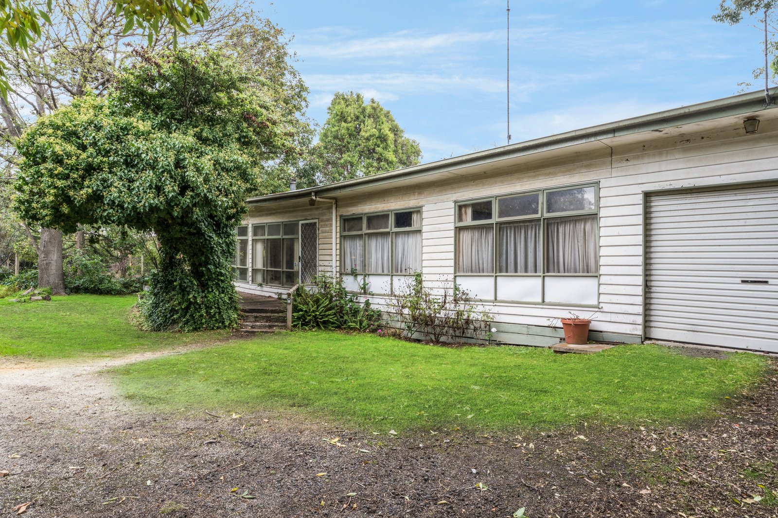 Gallery: 7 McMillan Street