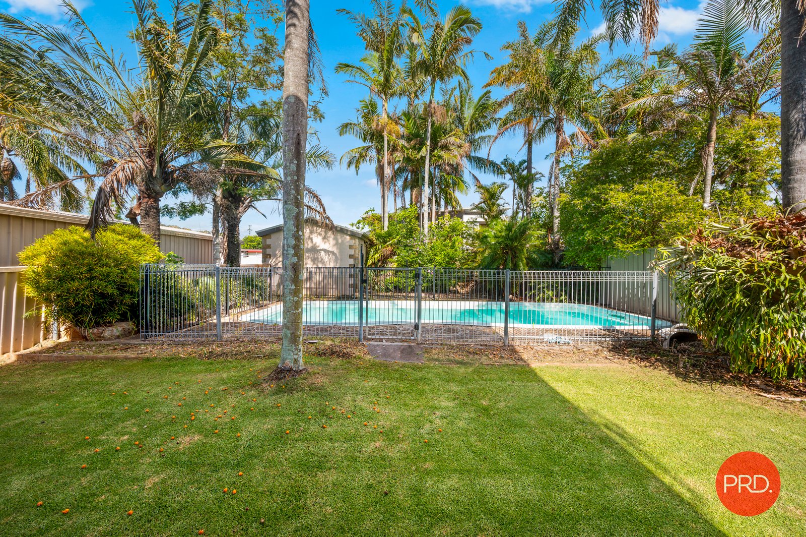 7 Meadow Street COFFS HARBOUR 15