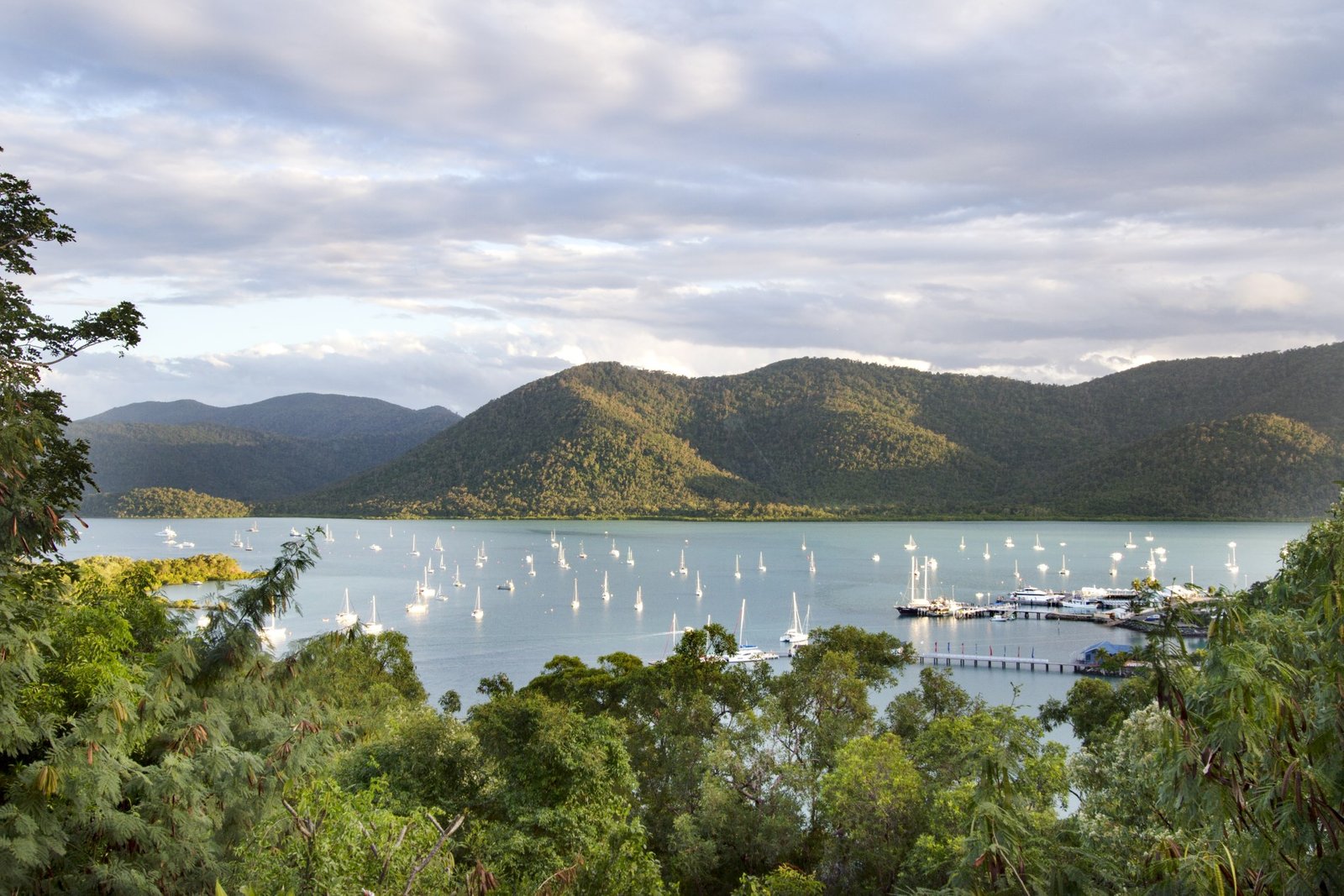 7 Neerim Crescent SHUTE HARBOUR 4