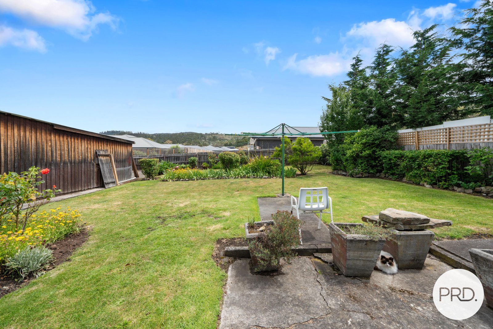 7 Nicholson Street NEW NORFOLK 14