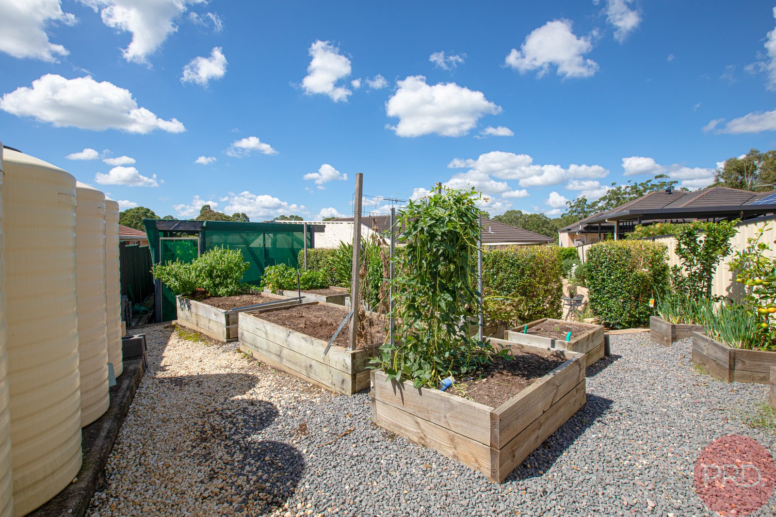 7 Pinetree Place ASHTONFIELD 21