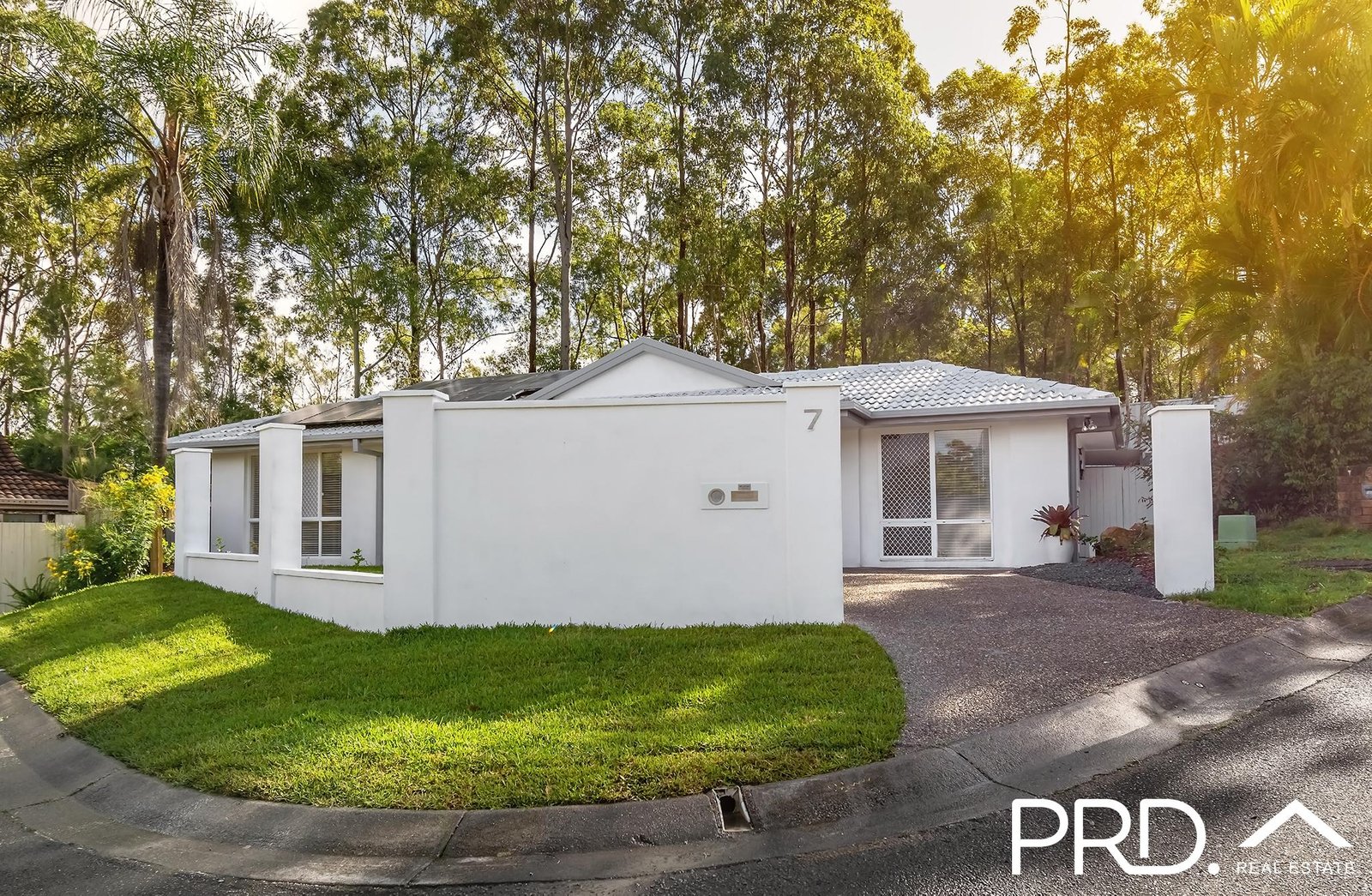 7 Poplar Place NERANG 11