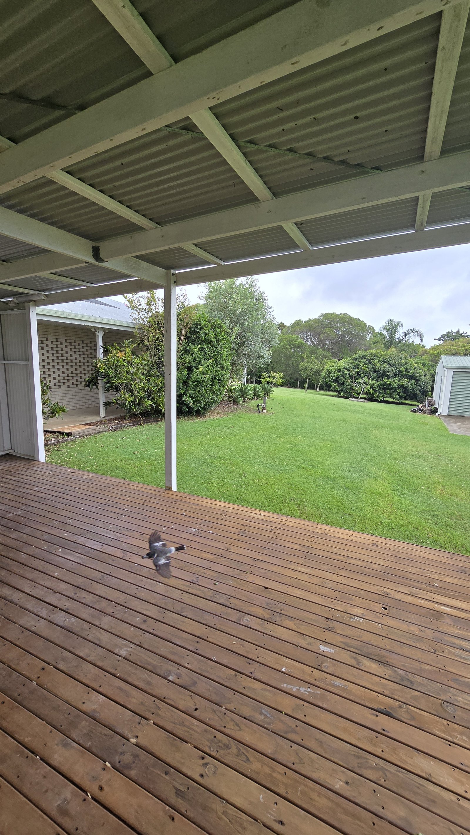 7 Regency Avenue URRAWEEN 15