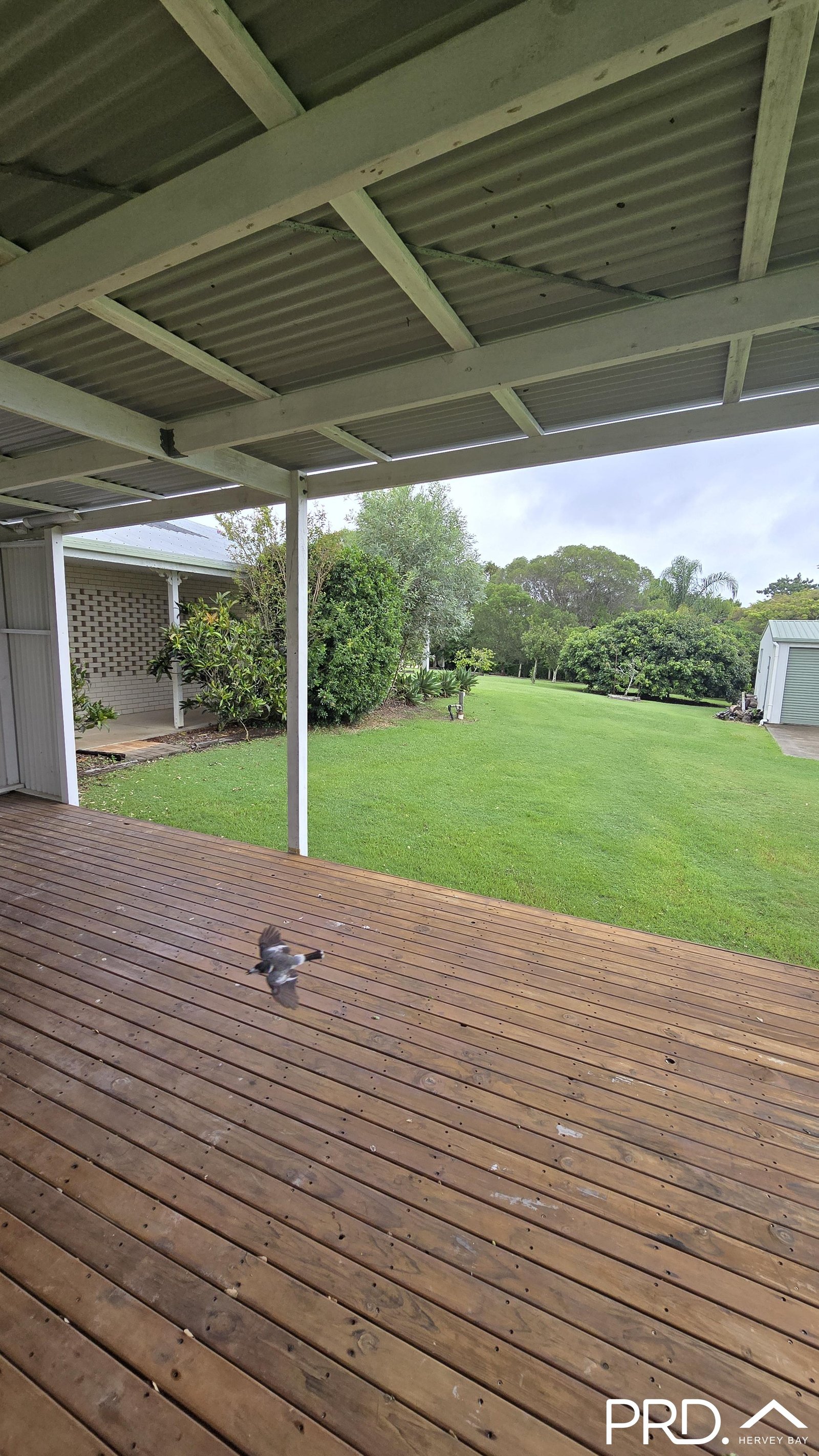 7 Regency Avenue URRAWEEN 13