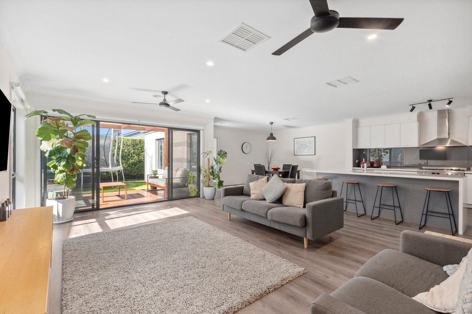 Gallery: 7 Rene Street