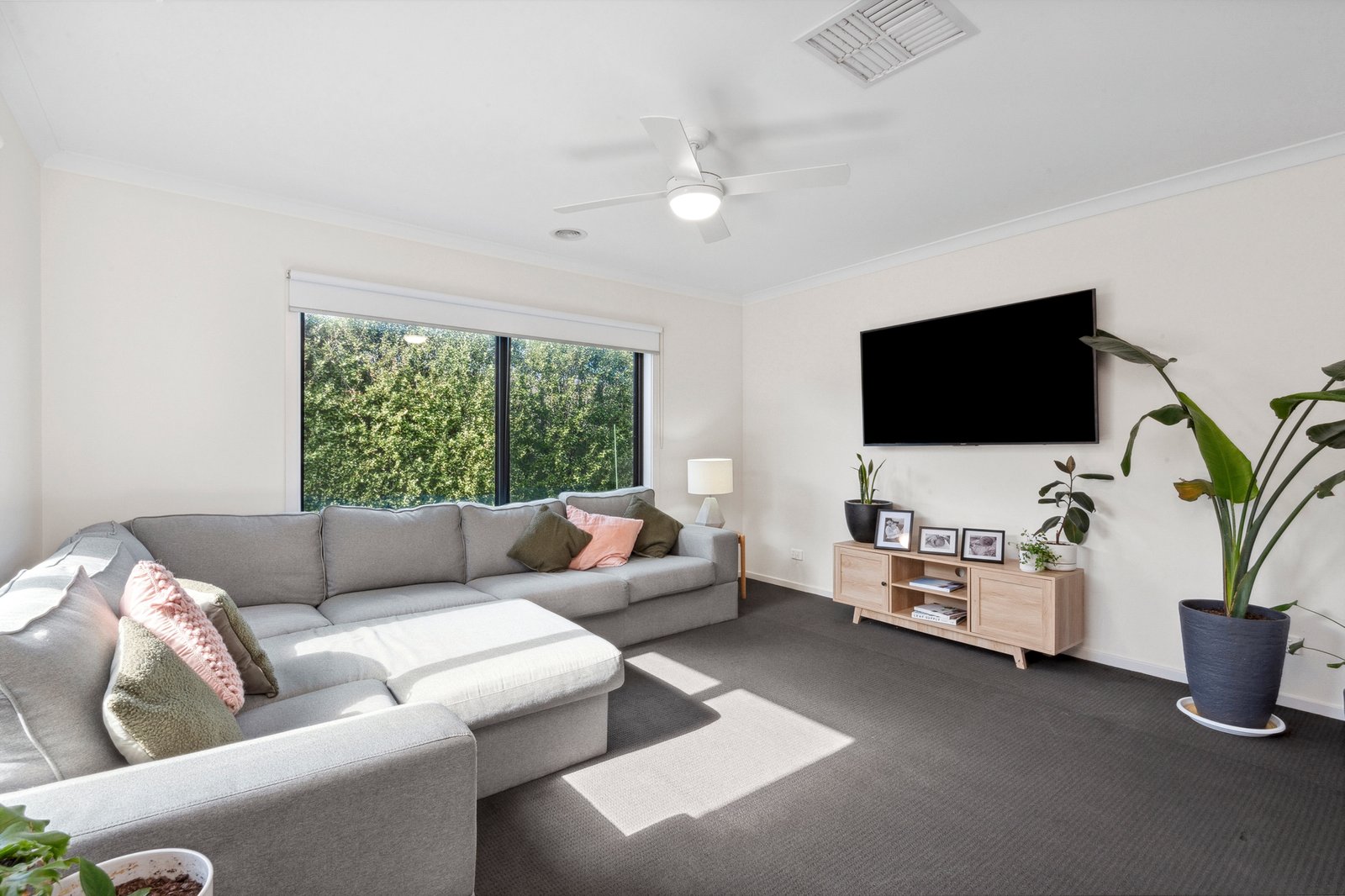 Gallery: 7 Rene Street