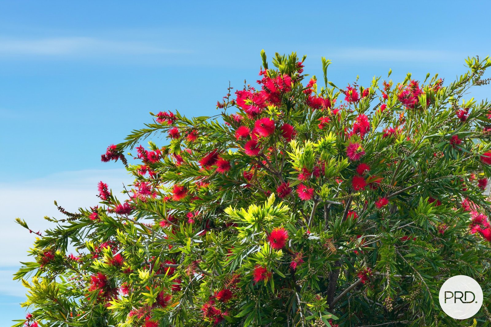 7 Tower Road NEW TOWN 30