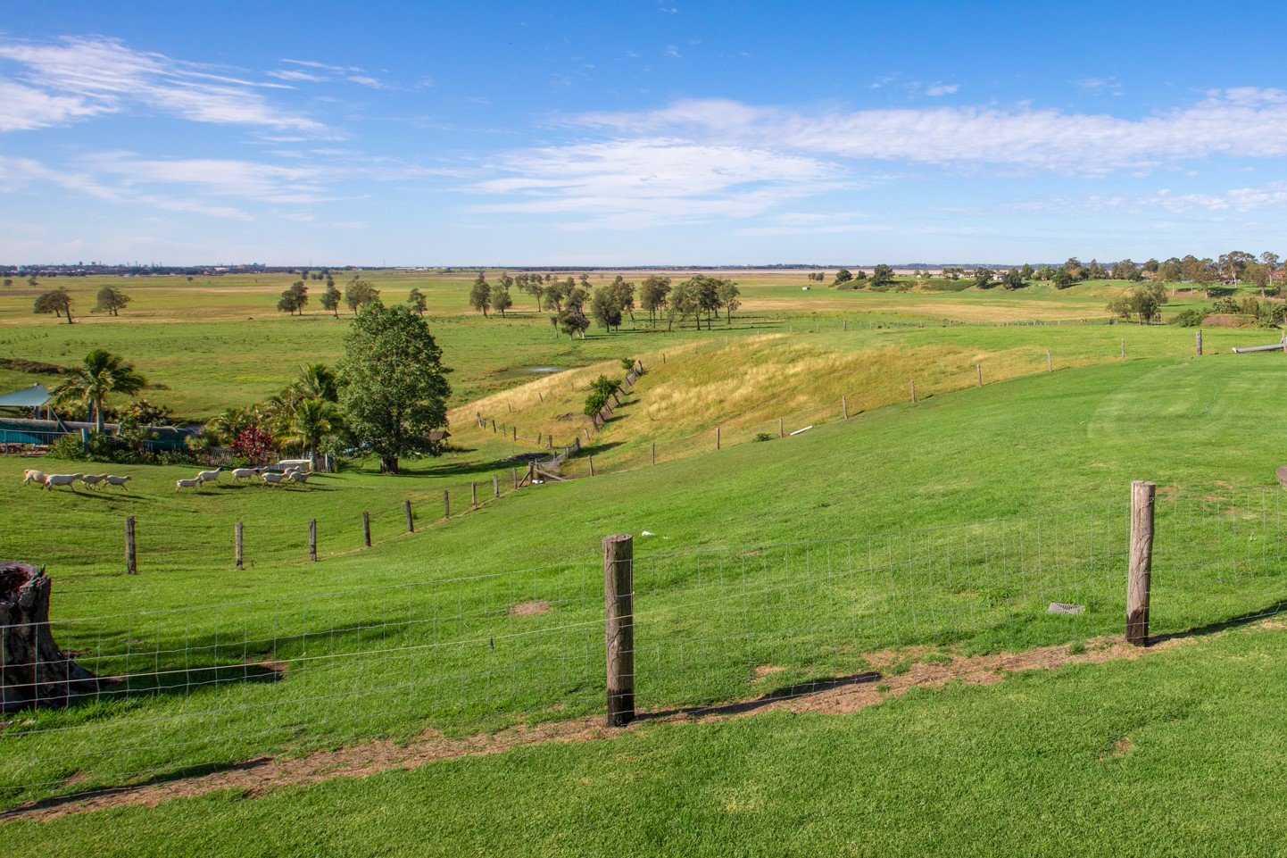 7 Walter Parade BLACK HILL 20