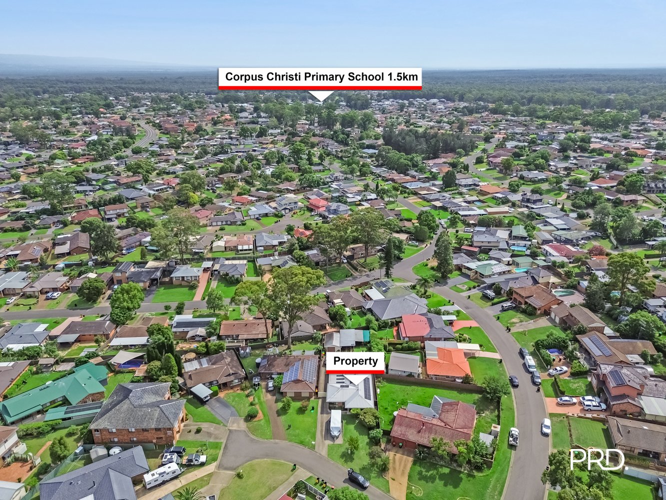 7 Wescoe Place CRANEBROOK 19