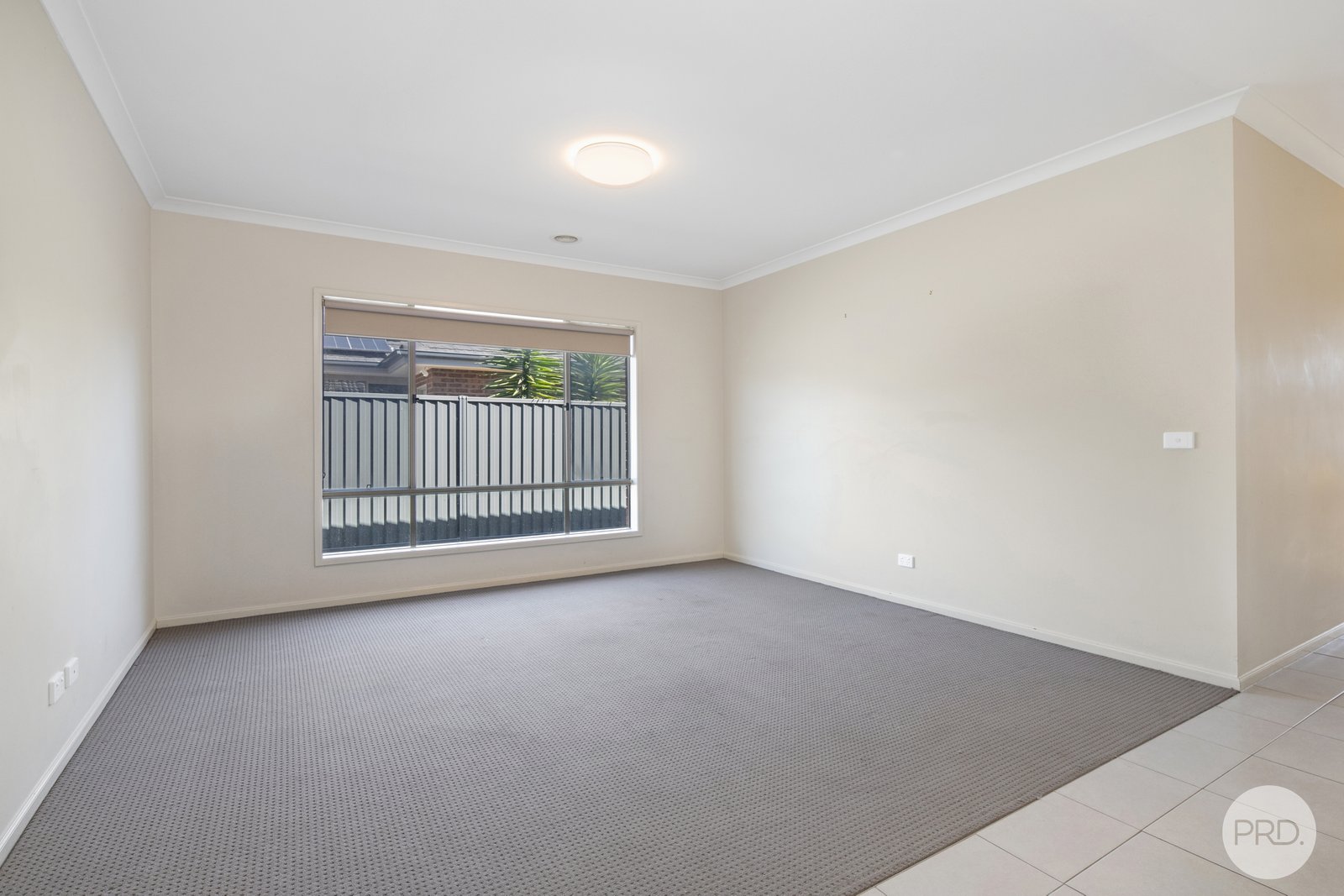 7 Wilmott Street LUCAS 4