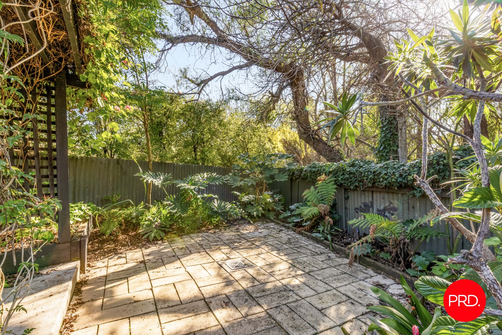 70 Bennett  LONG GULLY 20