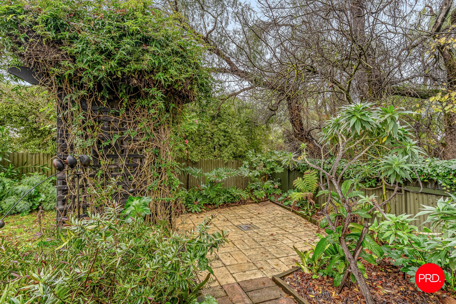 70 Bennett  LONG GULLY 6