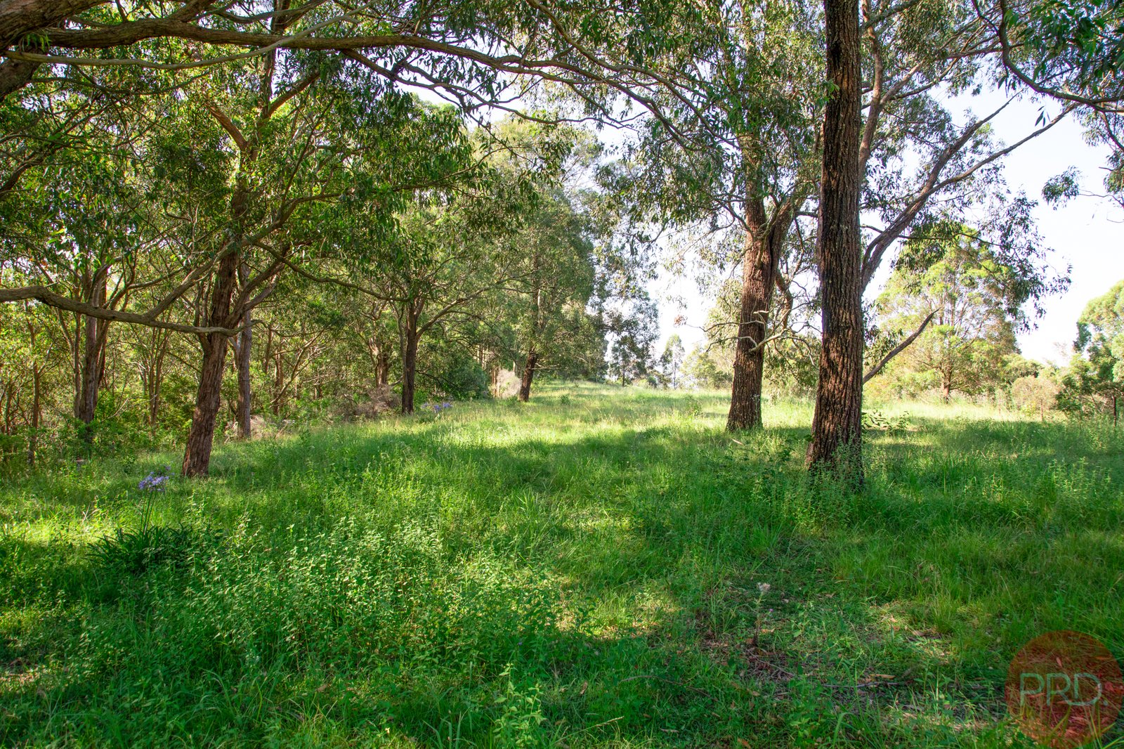 70 Browns Road BLACK HILL 2