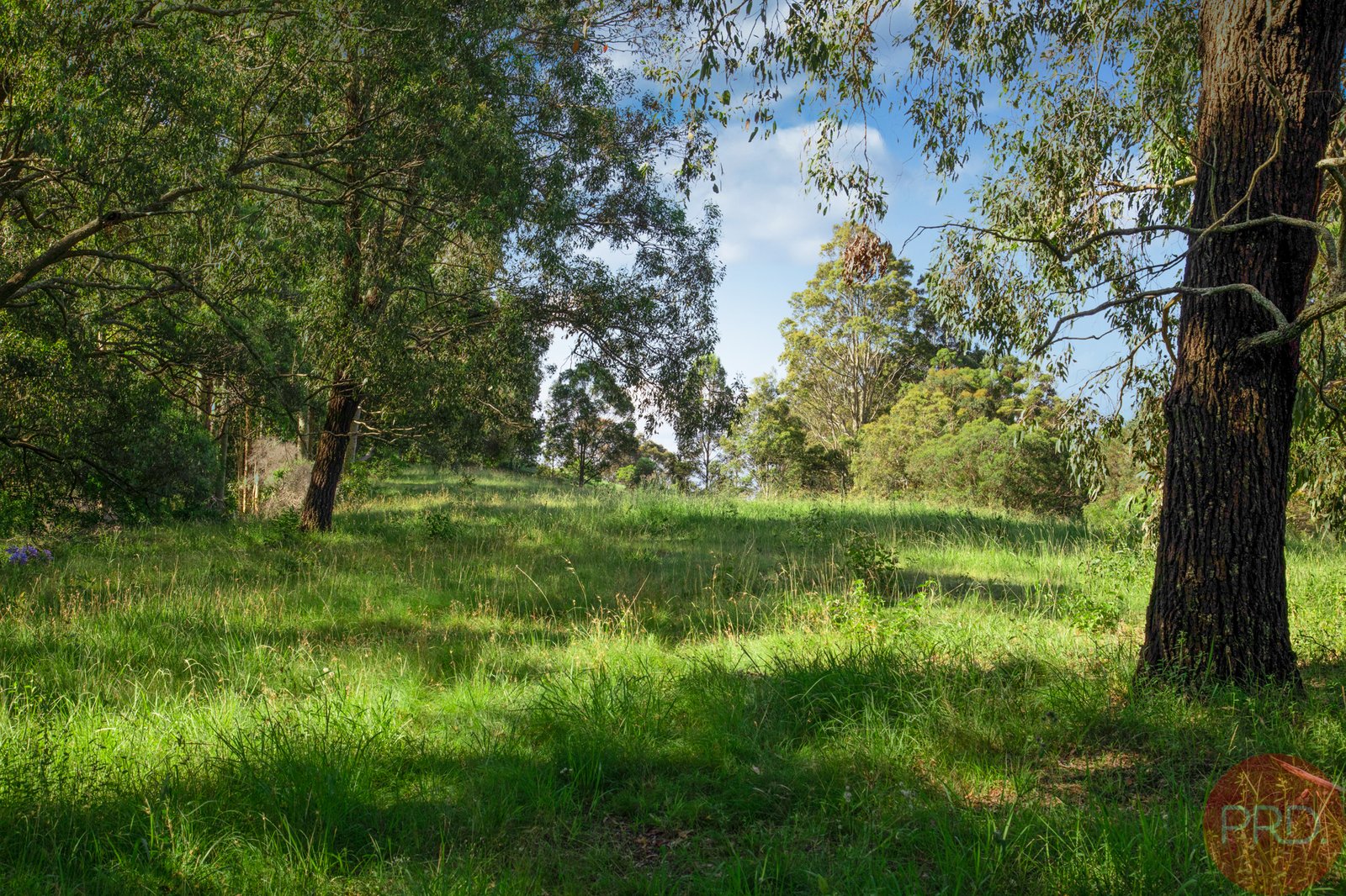 70 Browns Road BLACK HILL 3