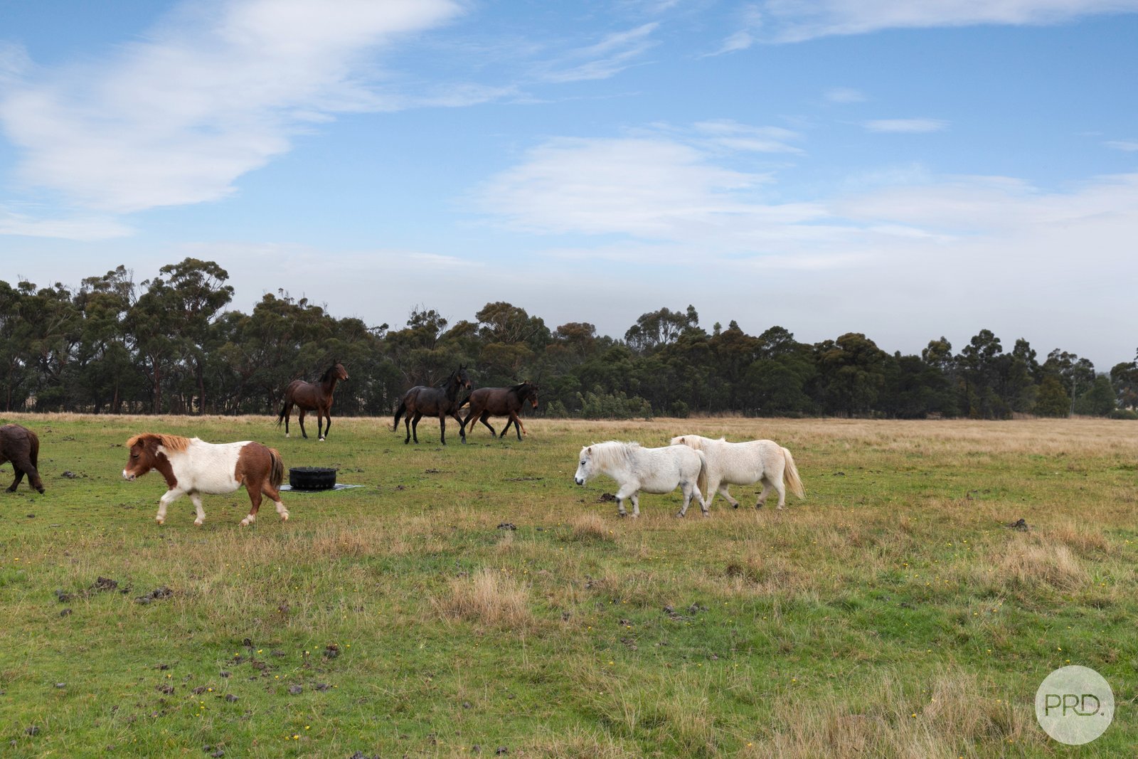 70 Finns Road SCOTSBURN 20