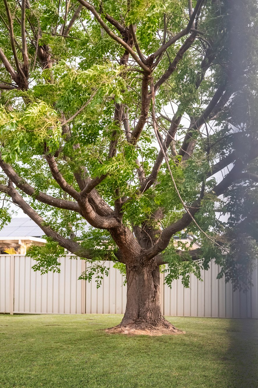 70 Galway Bay Drive ASHTONFIELD 23