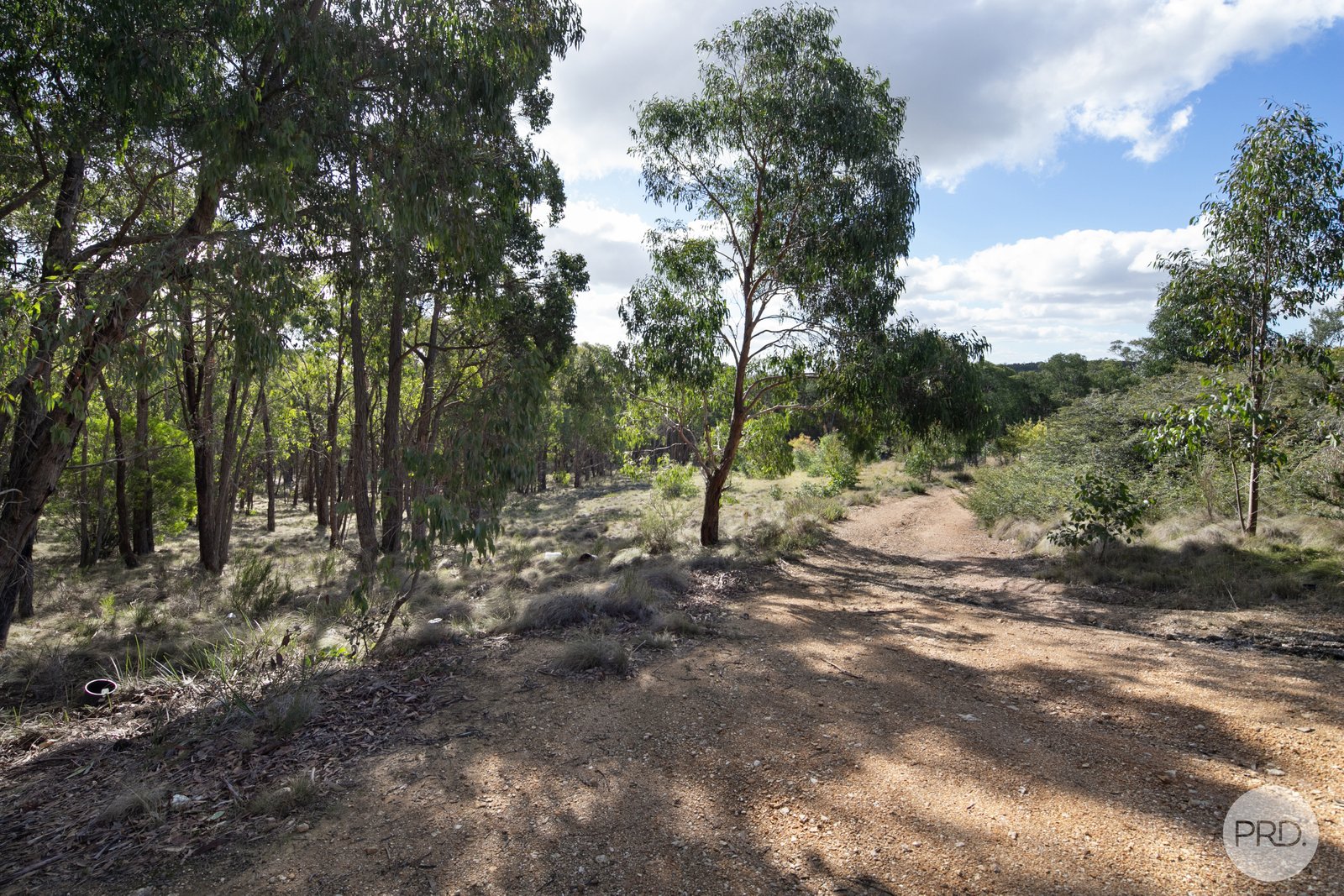70 Haighs Lane SNAKE VALLEY 19