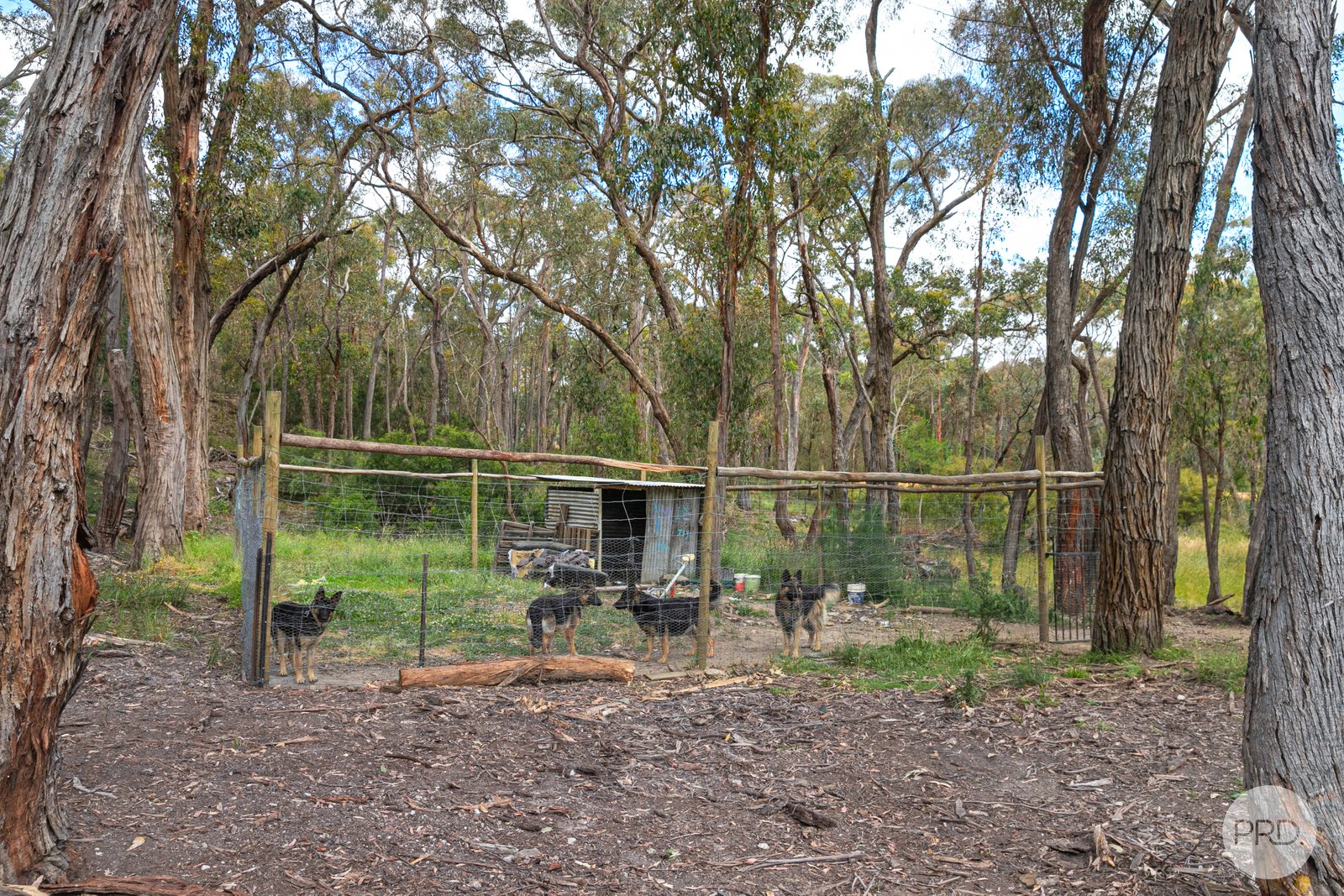 70 Moppianimum Road SCARSDALE 16