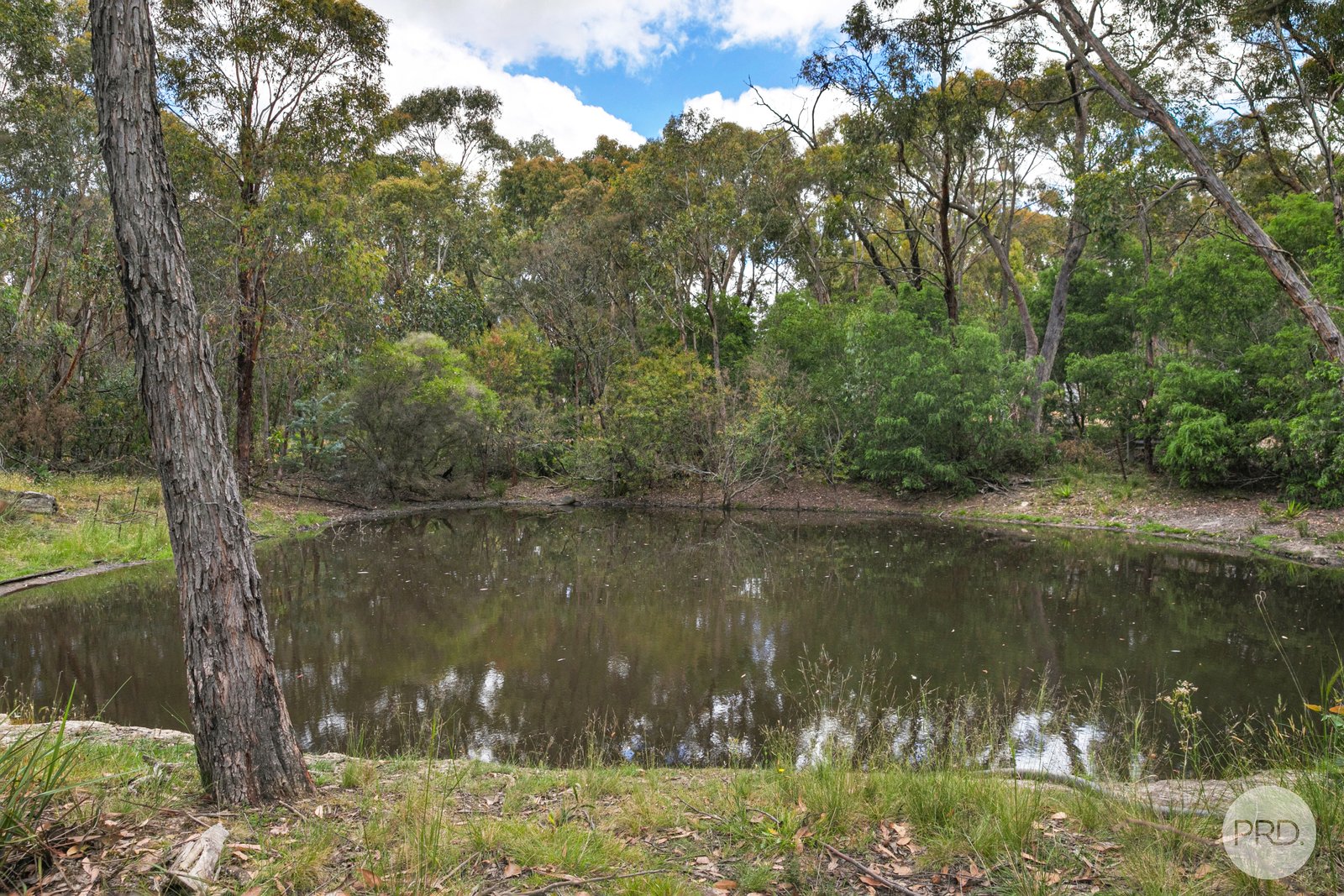 70 Moppianimum Road SCARSDALE 17